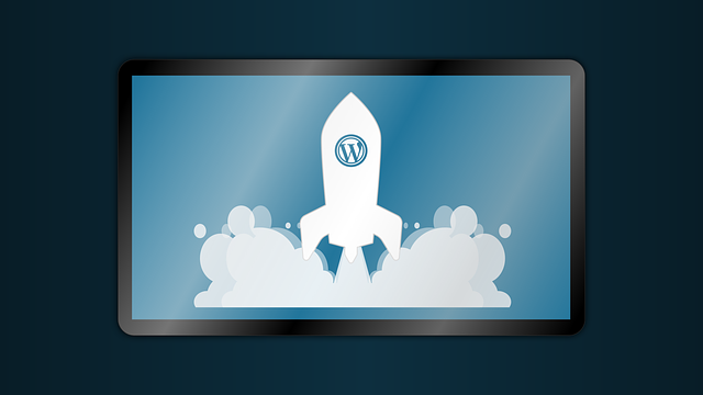 optimizar wordpress